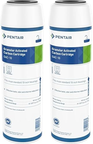 Pentair Pentek GAC-10 10" x 2.5" Carbon Water Filter, Pack of 2 by PENTAIRPENTEK
