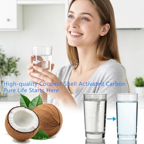 6 Month / 200 Gallon Capacity Replacement Water Filter (NSF43, NSF53, NSF401), Advanced Coconut Shell Activated Carbon Ice and Water Filter for 9081, 469081, 9930, 469930, P4RFKB2, P4RFWB, P5WB2L - Image 5
