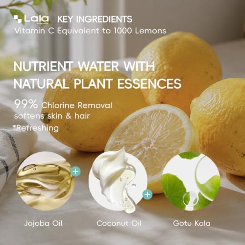 High Pressure Aromatherapy Filtered Shower Head with Handheld - Image 5