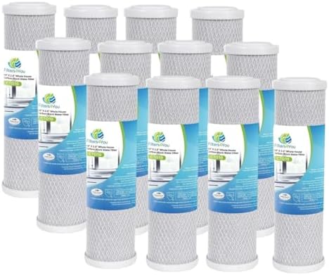 CFS Carbon Block Filters for GE GXWH04F, GXWH20F, GXWH20S, GXRM10, 12 Pack by CompleteFiltrationServices