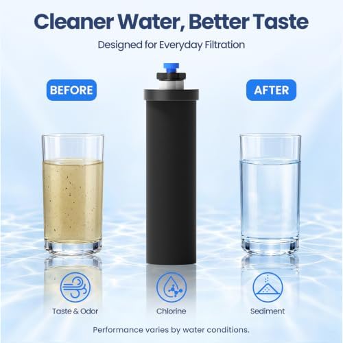Gravity Water Filter Replacement for Berlkey® BB9-2®, 2-Pack - Image 4