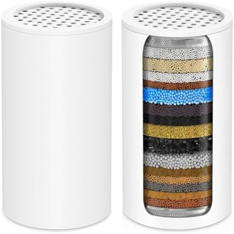 Filter Replacement Compatible with SR SUN RISE,BOWGER,beelee Shower head by Molvgoc