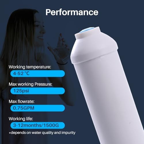 CFS 10 in Inline Carbon Filter 1/4 QC for 255525-43 R200 GXRTQR - 1 Pack - Image 4