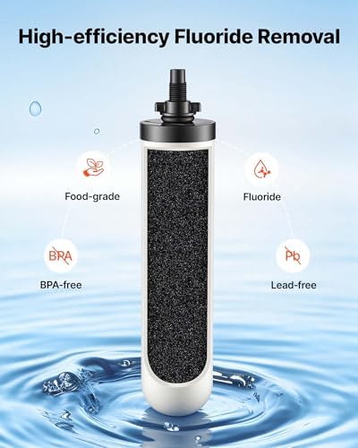 VEVOR Gravity-fed Water Filter System, 3G 304 Stainless-Steel Countertop Water Filtration System, Reduces Lead and up to 99% of Chlorine, with 2 Ceramic Carbon Filters, and Spigot, for Home Camping RV - Image 3