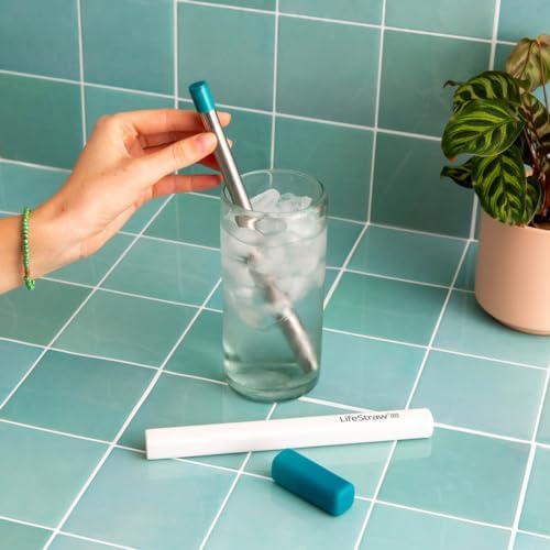 LifeStraw Sip – Reusable Stainless Steel Water Filter Drinking Straw - Image 3