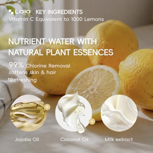 High Pressure Aromatherapy Filtered Shower Head with Handheld - Image 5