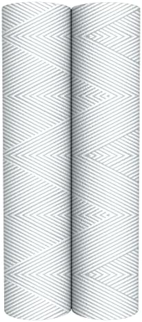 CFS COMPLETE FILTRATION SERVICES EST.2006 Compatible for OmniFilter Model RS2-DS 2 Pack String Wound Filters Whole House Water Filter Cartridges (Pack of 3) - Image 2