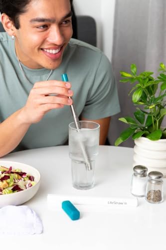 LifeStraw Sip – Reusable Stainless Steel Water Filter Drinking Straw - Image 5