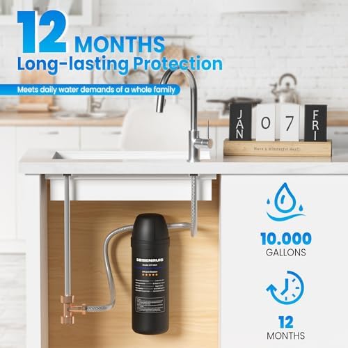 DESENRUIS Under Sink Water Filter for Kitchen Sink - Image 4