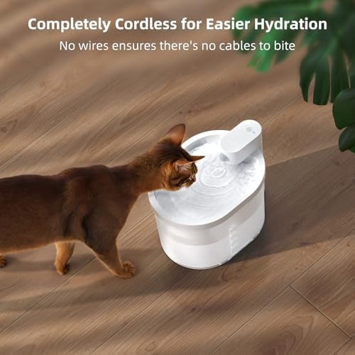 uahpet Cat Water Fountain, Wireless & Battery Operated 2L/67oz Pumpless Automatic Pet Fountain with Motion Sensor, Food-Grade ABS Tray, Easy to Clean Water Dispenser for Cats - Image 2
