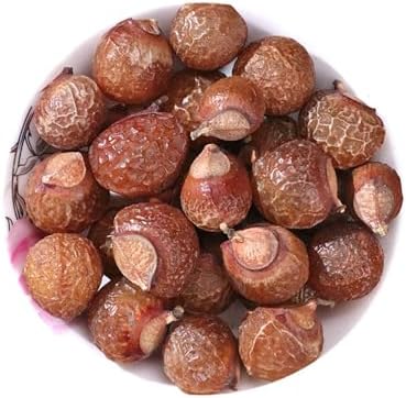 Soapberry Sapindus Mukorossi Gaertn (250g) by Unknown