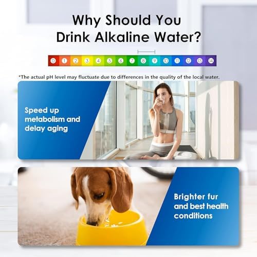 Waterdrop WFD-22L-A Alkaline Water Filter Dispenser, Large 40-Cup, Black - Image 2