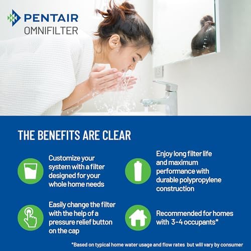 Pentair OMNIFilter Whole Home 10-Inch Heavy Duty Big Blue Filter System - Image 6