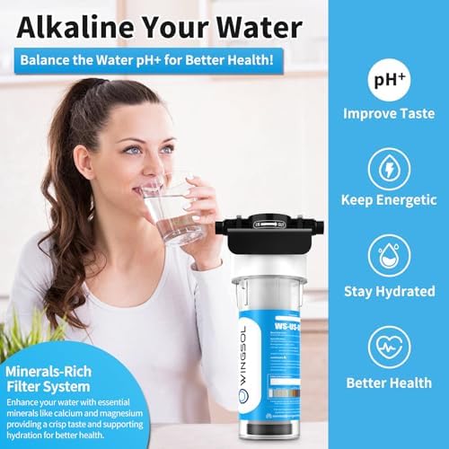 WINGSOL Advanced Replacement Filter Cartridge for Under Sink Water Filter Compatibel with: WS-US-001 Advanced, WS-US-001 Basic, WS-US-001 Advanced (F) - Image 3