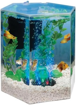 Tetra Bubbling LED 1 Gallon Starter Fish Tank Kit For Freshwater Fish - Image 2