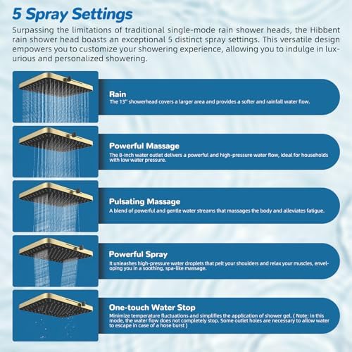 Hibbent 5-spray Dual Filtered Rainfall Shower Head with 10 Spray Handheld - Image 2