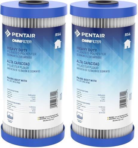 Pentair OMNIFilter RS6 Sediment Water Filter, 10" Whole House Heavy Duty Big Blue Pleated Replacement Cartridge, 10" x 4.5" (Pack of 2) by PentairOmniFilter