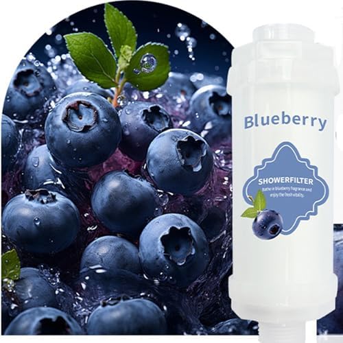 Shower Filter Vitamin C Replacement Cartridge Bathroom Accessories for Hard Water Filter Remove Chlorine Fluoride Heavy Metals Improves Skin Condition Protects Hair Blueberry Scent by Unknown