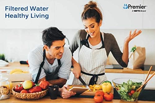 Watts OFPSYS OneFlow Plus Whole House Water Filter System & Water Softener + Watts Premier Whole House 50-Micron Sediment Water Filtration Kit - Image 6