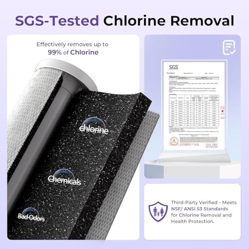 iSpring WGB21B-DS 2-Stage Anti-Scale Whole House Water Filter System - Image 3