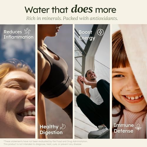 Korea-Made Ivyel PL Alkaline Water Machine,Water ionizer, Produces ph 8.5-10.0 Alkaline Water/Acidic Water/Hydrogen Water/Water Purifier Filter/Ionized Water/Antioxidant Water - Image 4