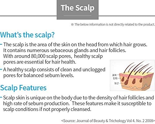 Scalp Care 2 Set_Shampoo & Conditioner_An Ayurvedic herbs to cleanse and revitalize the scalp_AB - Image 3