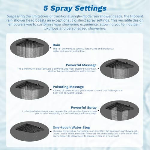 Hibbent 5-spray Dual Filtered Rainfall Shower Head with 10 Spray Handheld - Image 2