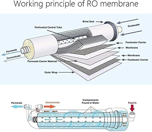 RYTM RO Membrane 75 GPD 1812 Reverse Osmosis Membrane Filter Replacement for Home Drinking RO Water Filtration System - Image 3