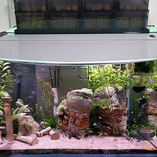 hygger 6.2-Inch Long Aquarium Bio Media Ceramic Filter Media Blocks for Sump Tank Pond Freshwater Fish Tank Filter Media (7.9 lbs,40-Pack) - Image 6