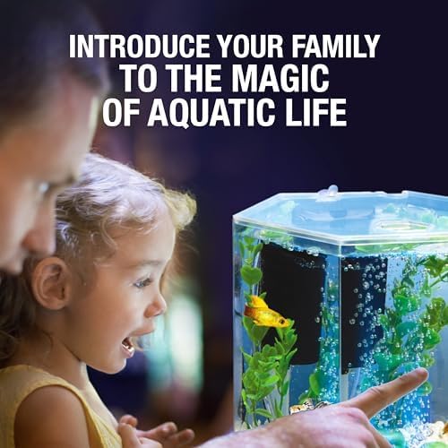 Tetra Bubbling LED 1 Gallon Starter Fish Tank Kit For Freshwater Fish - Image 6