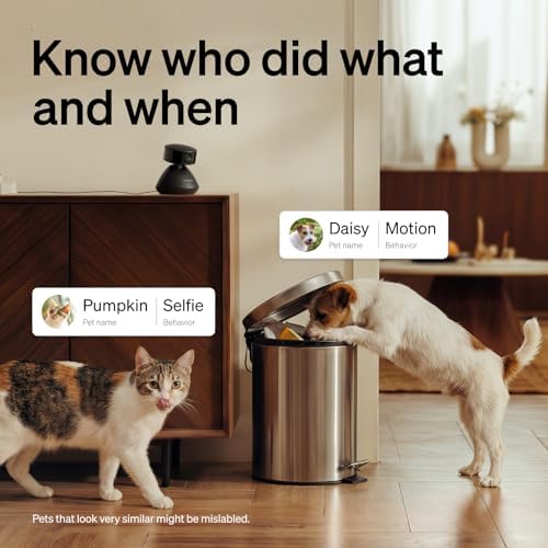PETLIBRO Dog Camera with Phone App, 360° Auto Tracking Pet Camera Indoor with Phone App for Home Alone Pets, Cat & Puppy Camera with 2-Way Audio, Night Vision, Indoor Camera WiFi - Image 2