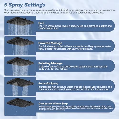 Hibbent 5-spray Filtered Rain Shower Head, 4-Spray Shower Wand, Matte Black - Image 2