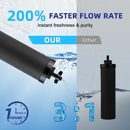 Black Water Filter fit for Ber.key Gravity Water Filtration System - Image 2