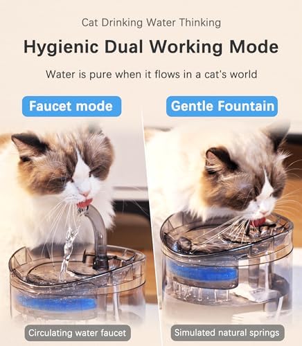 HAPUP Cat Water Fountain Animal Water Dispenser 61OZ/1.8L Automatic Pet Drinking Fountain Clear Upgrade with 2 Filter Replacement 1 Adjustable Silent 1 Water Pump for Cats Kitty Indoor - Image 3