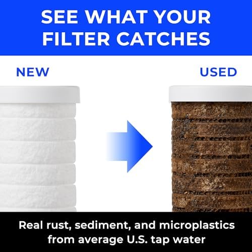 BODYLUV Puresome Shower Filter for Rain & Large Shower Heads — Korea's #1 Filter, Reduces Rust, Sediment & Microplastics for Skin and Hair, 4+ Months, Universal Fit, Made in Korea - Image 3