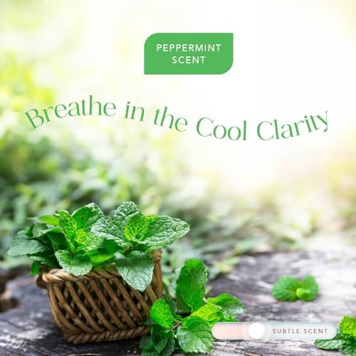 Vitamin C Shower Filter Replacement Cartridge + Shower Steamers Aromatherapy - K Beauty Skin & Hair Enhancement, Universal Water Filter Replacement for AquaBliss - Peppermint - Image 6