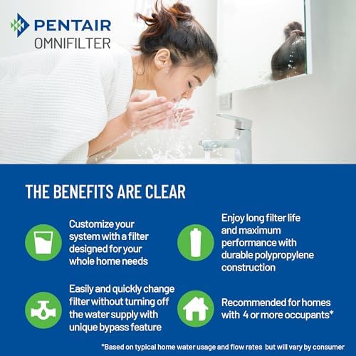 Pentair OMNIFilter Whole Home 20-Inch Heavy Duty Big Blue Filter System - Image 6