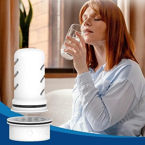 MARRIOTTO Pitcher Filters Compatible with LifeStraw, Carbon+Ion 1+2 - Image 6