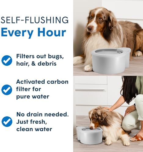 7" Self-Refilling Cat Water Bowl with Wall Unit - Image 5