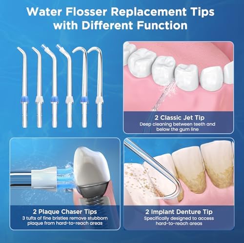 Replacement Tips for Waterpik, Water Flosser Replacement Heads Parts for Waterpik Oral Irrigator(2 Classic Jet Tips + 2 Plaque Chaser Tips + 2 Implant Denture Tips + Storage Case Combo) - Image 3