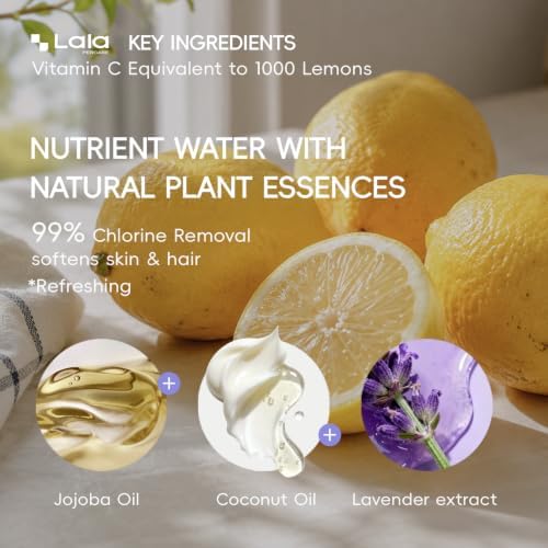 High Pressure Aromatherapy Filtered Shower Head with Handheld - Image 5