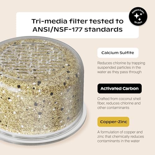 Canopy Filtered Shower Head - High Pressure Shower Head Filter for Hard Water - Shower Filter To Remove Impurities for Healthier Scalp, Skin & Hair - Support Hair Growth & Minimize Breakage - Chrome - Image 2