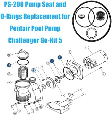 Pool Pump Gasket Seal O-Ring Rebuild Repair Kit Fit for Pentair Pool Pump Challenger Go-Kit 5 Including PS-200 Shaft Seal & O-Rings - Image 4