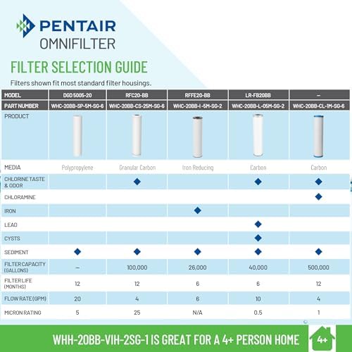 Pentair OMNIFilter Whole Home 20-Inch Heavy Duty Big Blue Filter System - Image 5