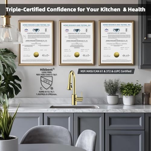 Hibbent NSF/ANSI/CAN 61 & 372 Certified Pull Down Kitchen Faucet Head - Image 4