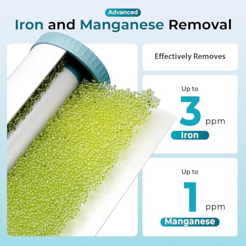 iSpring WGB31BM Iron, Manganese Whole House Water Filter System - Image 2