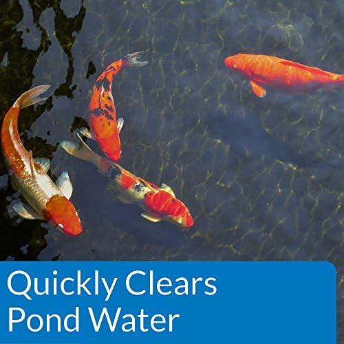 API Pond ACCU-Clear (64 fl oz) Water Clarifier - Improves Filter Efficiency - Image 4