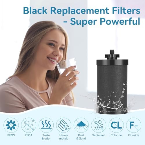 2 PCS 2387 Pro Replacement Water Filter Compatible with Alexapure - Image 6
