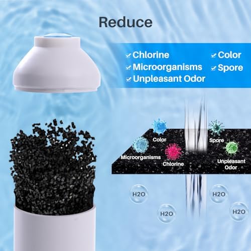 CFS 10 in Inline Carbon Filter 1/4 QC for 255525-43 R200 GXRTQR - 1 Pack - Image 3
