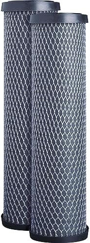 GE FXWTC Whole House Water Filter | Replacement for Water Filtration System | NSF Certified: Reduces Chlorine, Sediment, Rust & Other Impurities | Replace Every 3 Months for Best Results | 2 Filters by Unknown